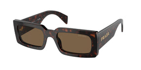 Briar Trotoise/Dark Brownized Polarised / 52