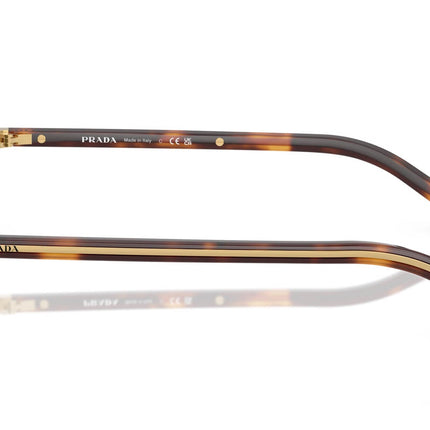 Eyewear -  SPR B53